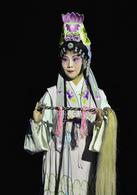 牡丹亭[白先勇策劃、2004年首演青春版牡丹亭]