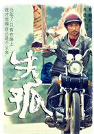 失孤[中國大陸2015年劉德華主演電影]