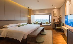 客房-靜心客房-青城特色房