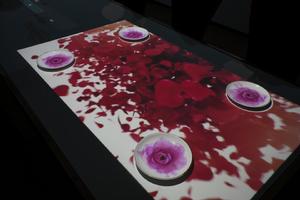 深圳市石代科技有限公司