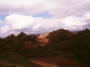 六盤山生態植物園 六盤山生態植物園