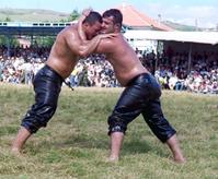 土耳其的格鬥技