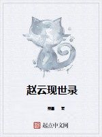 趙雲現世錄 趙雲現世錄