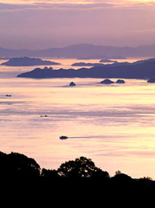 權現溫泉 權現溫泉