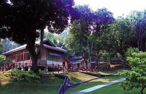 聖約翰島(St John’s Island)