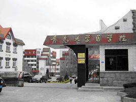 青島大學醫學院松山醫院 青島大學醫學院松山醫院