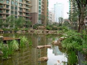 國際麗都城三期 國際麗都城三期