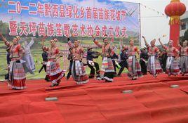 綠化白族彝族鄉