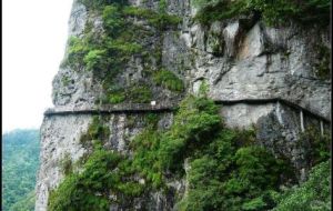 屏南自然保護區 屏南自然保護區