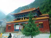 武都[甘肅省隴南市武都區]