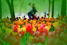 長春公園 長春公園