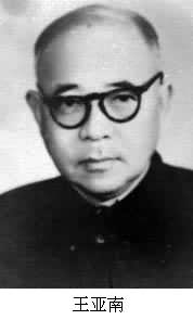 Wang Ya - nan