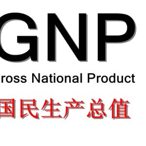 GNP