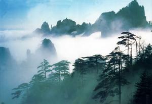 武夷山國家自然保護區