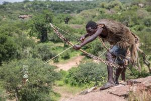 表型策略 表型策略