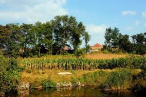 北臧家疃村 北臧家疃村