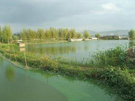 養殖水面 養殖水面