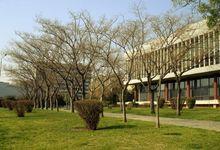 亞里士多德大學