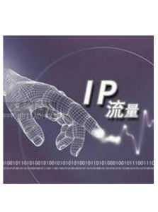 流量[物理學名詞]