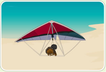 火雞感恩節逃生 火雞感恩節逃生