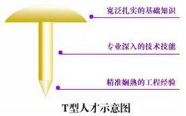 T型人才 T型人才