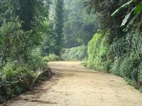 控井新寨自然村