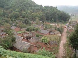 梨樹村[雲南省曲靖會澤縣大海鄉梨樹村委會]