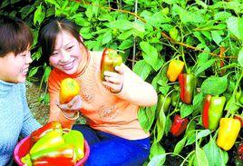 大王莊鄉 大王莊鄉