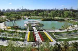 望和公園 望和公園