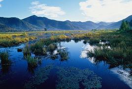 瀘沽湖草海景區 瀘沽湖草海景區