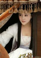 保鏢之翡翠娃娃[2011年范秀明執導電視劇]