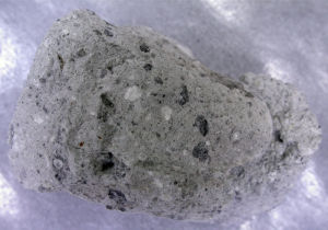 隕石網