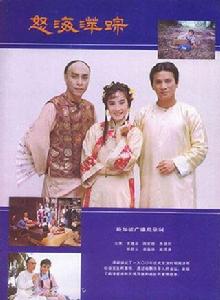 怒海萍蹤[1984年吳岱融出演的新加坡劇集]