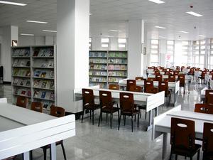 天津市翔東高級中學