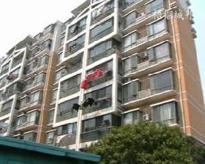 大華河畔華城三期 大華河畔華城三期