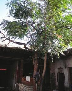 李銘漢故居 李銘漢故居