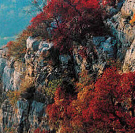 聖土山脈 聖土山脈