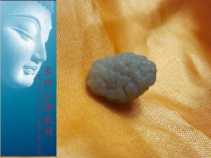 單增晉美 單增晉美