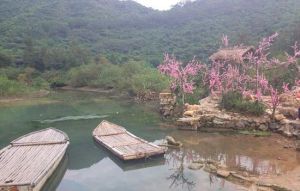 楊梅坑天然潭生態農莊 楊梅坑天然潭生態農莊