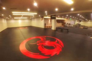 天玉閣柔術學院