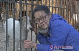 於君[青島流浪狗救助站建立人]