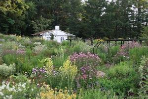 （圖）《風之花園》