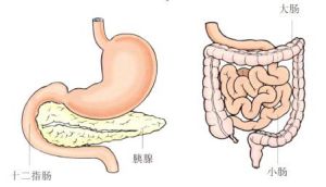 先天性十二指腸閉鎖