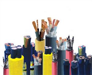 上海浦東電線電纜（集團）有限公司