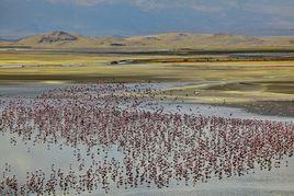 納特龍湖 納特龍湖