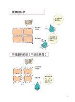 神經醯胺 神經醯胺