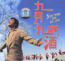 九月九的酒[陳少華演唱歌曲]