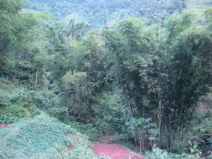 么發自然村 么發自然村