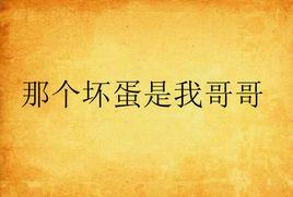 那個壞蛋是我哥哥 那個壞蛋是我哥哥