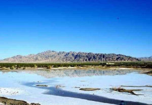 柯柯鹽湖 柯柯鹽湖